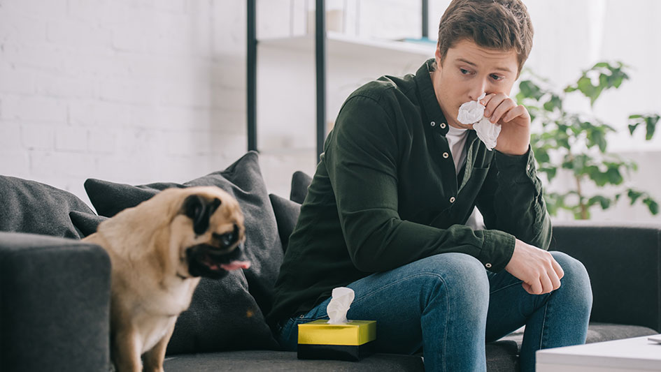 Getting an air purifier is one of the top ways to boost your residence’s indoor air quality. Discover more about the three best solutions. 